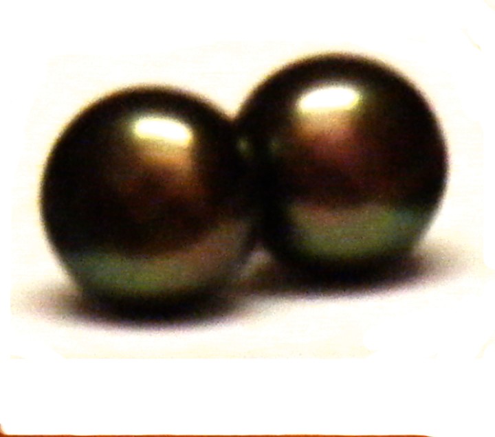 Black (brown/gold/green) 11.5mm Button Pearl Earrings